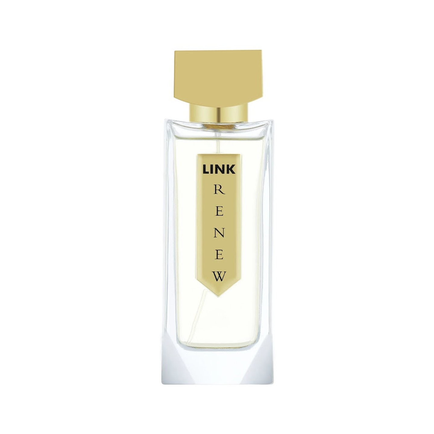 Renew 100 Ml