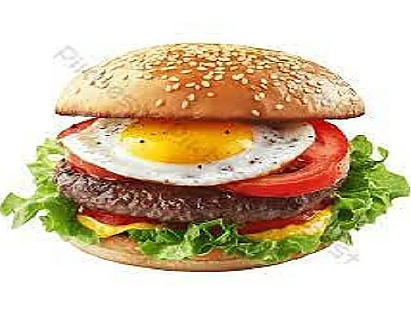 ساندوتش برجر لحم سبيشل