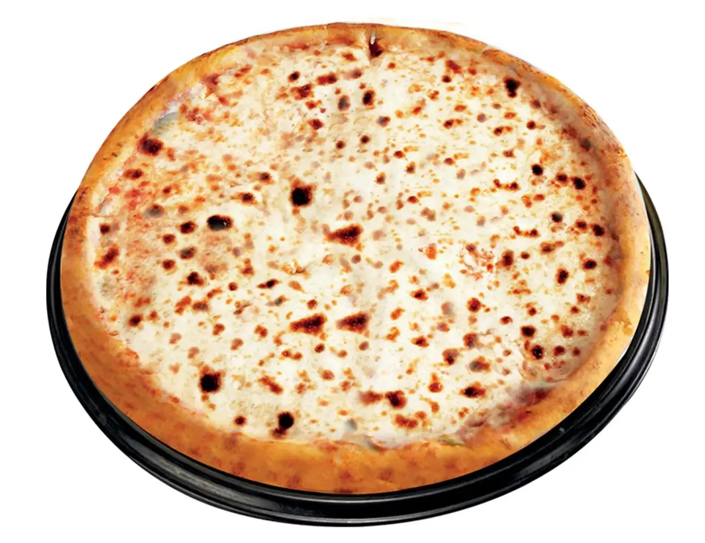 Plain Cheese Pizza