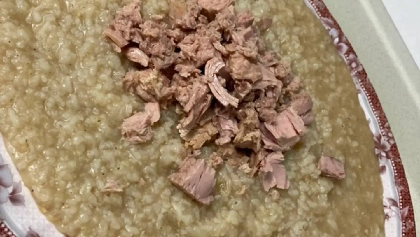 Lentils With Tuna - Small