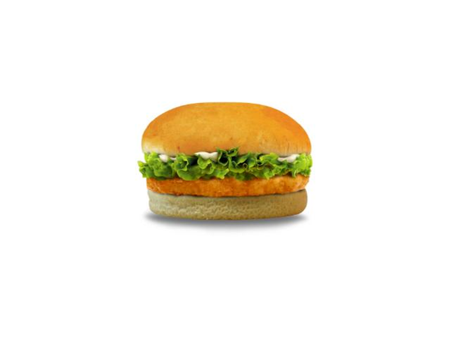 Small Chicken Burger Sandwich