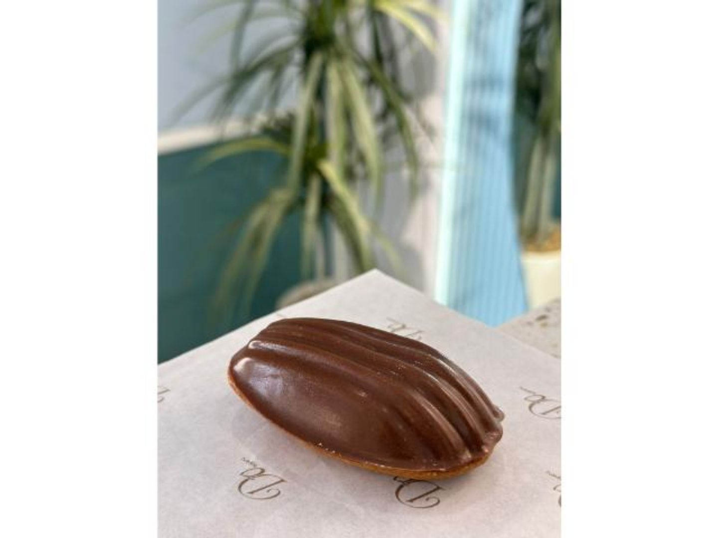 Chocolate Madeleine