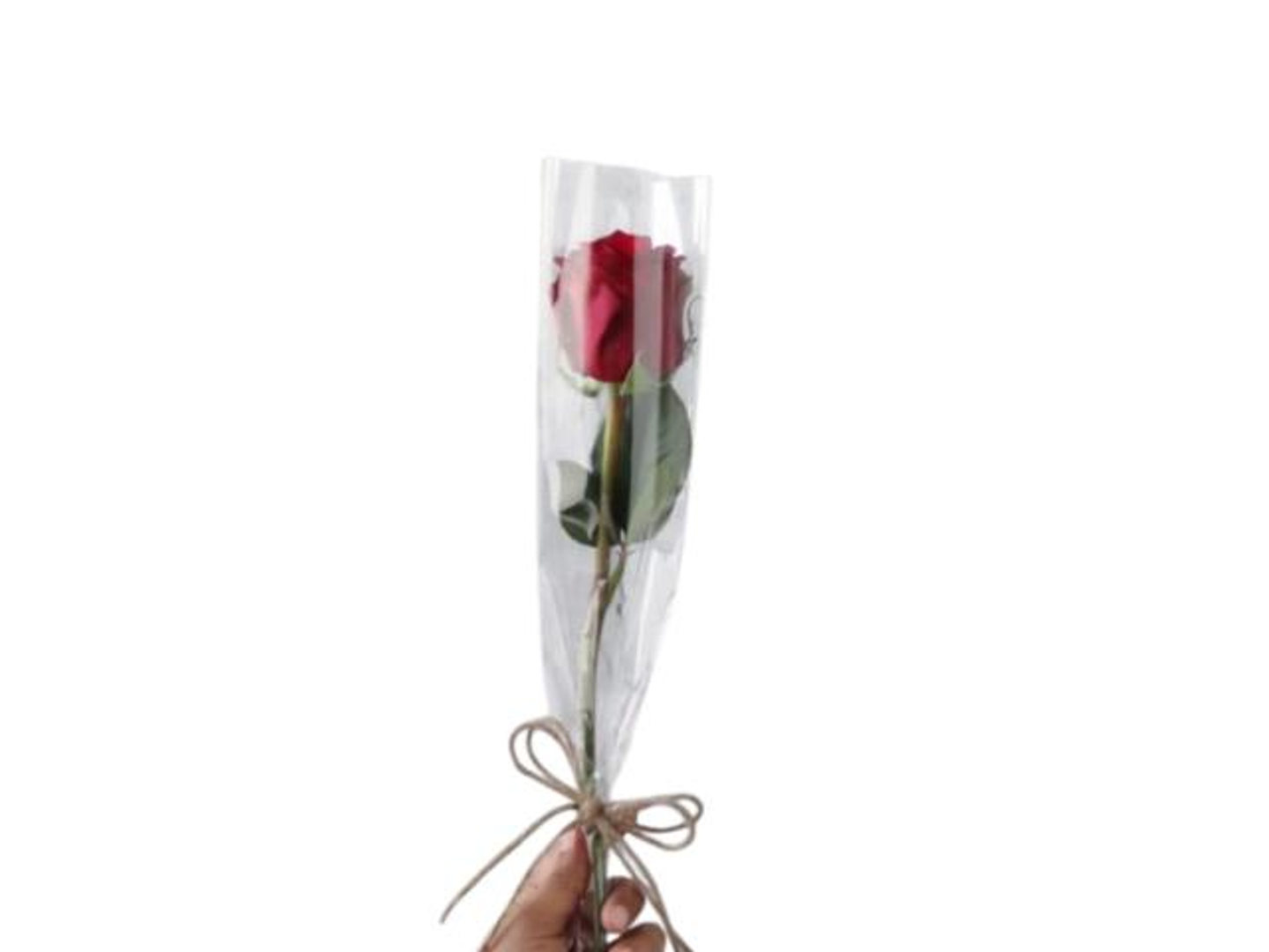 ورده التوزيعات الاحمر