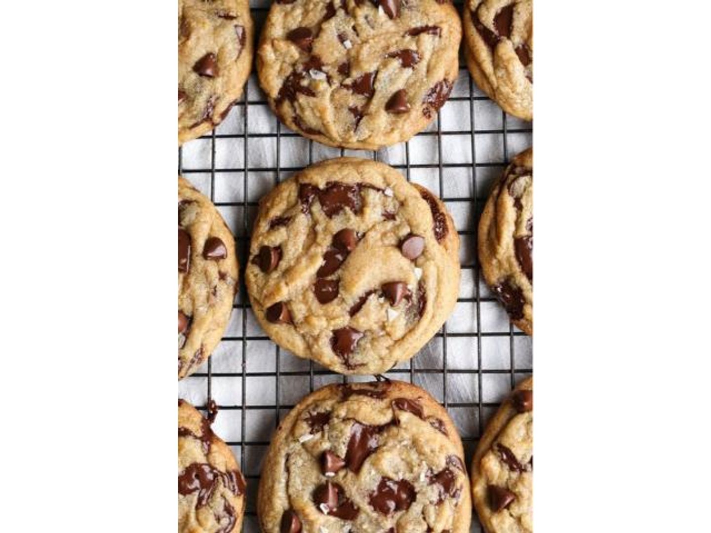 Large Dutch Cookie