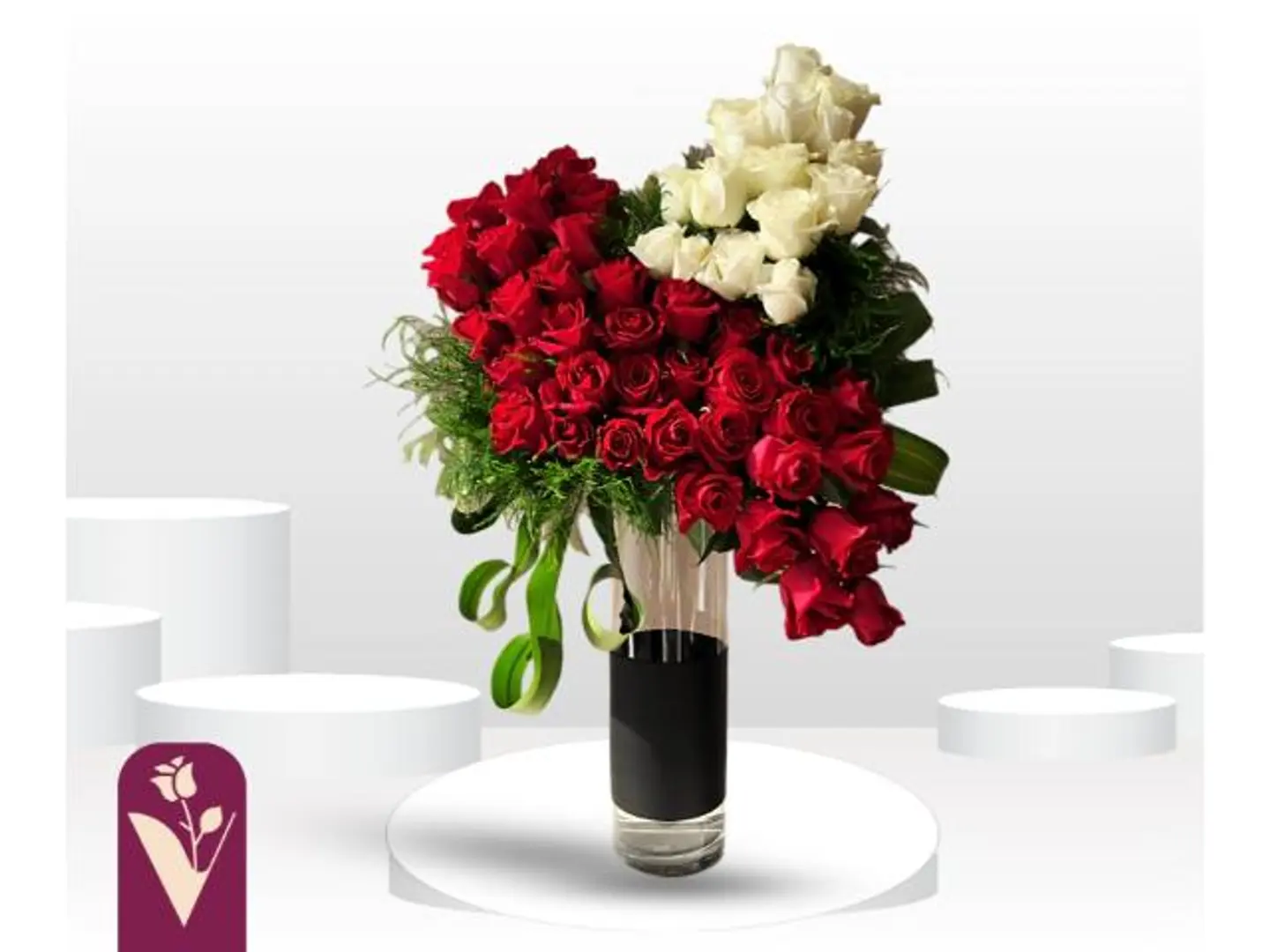 فازة روسيليا روز