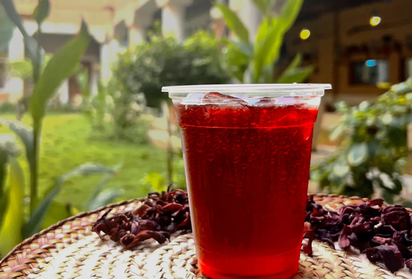 Hibiscus Tea (Karkade)