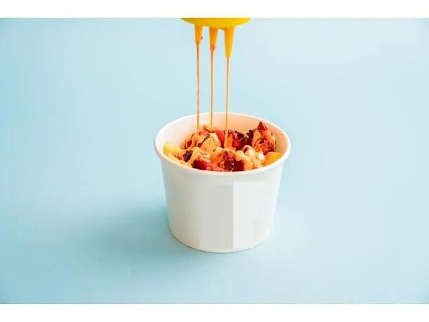 Tikka Fries