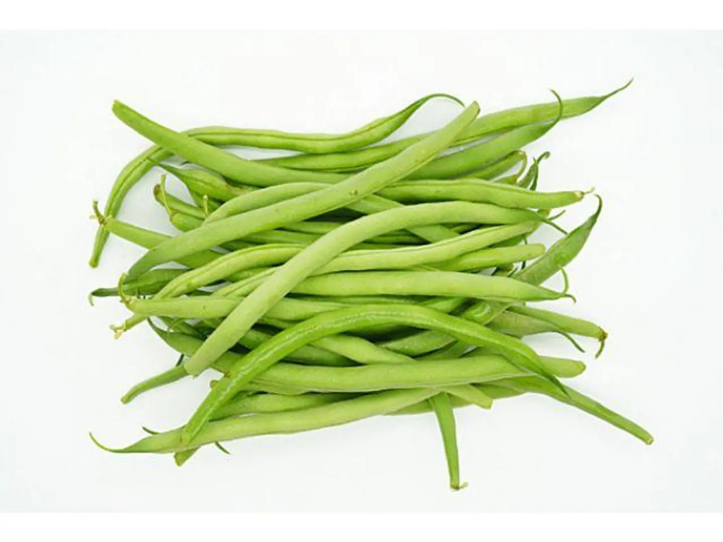 Beans