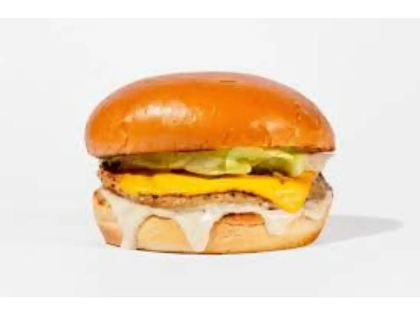 Brioche Chicken Burger