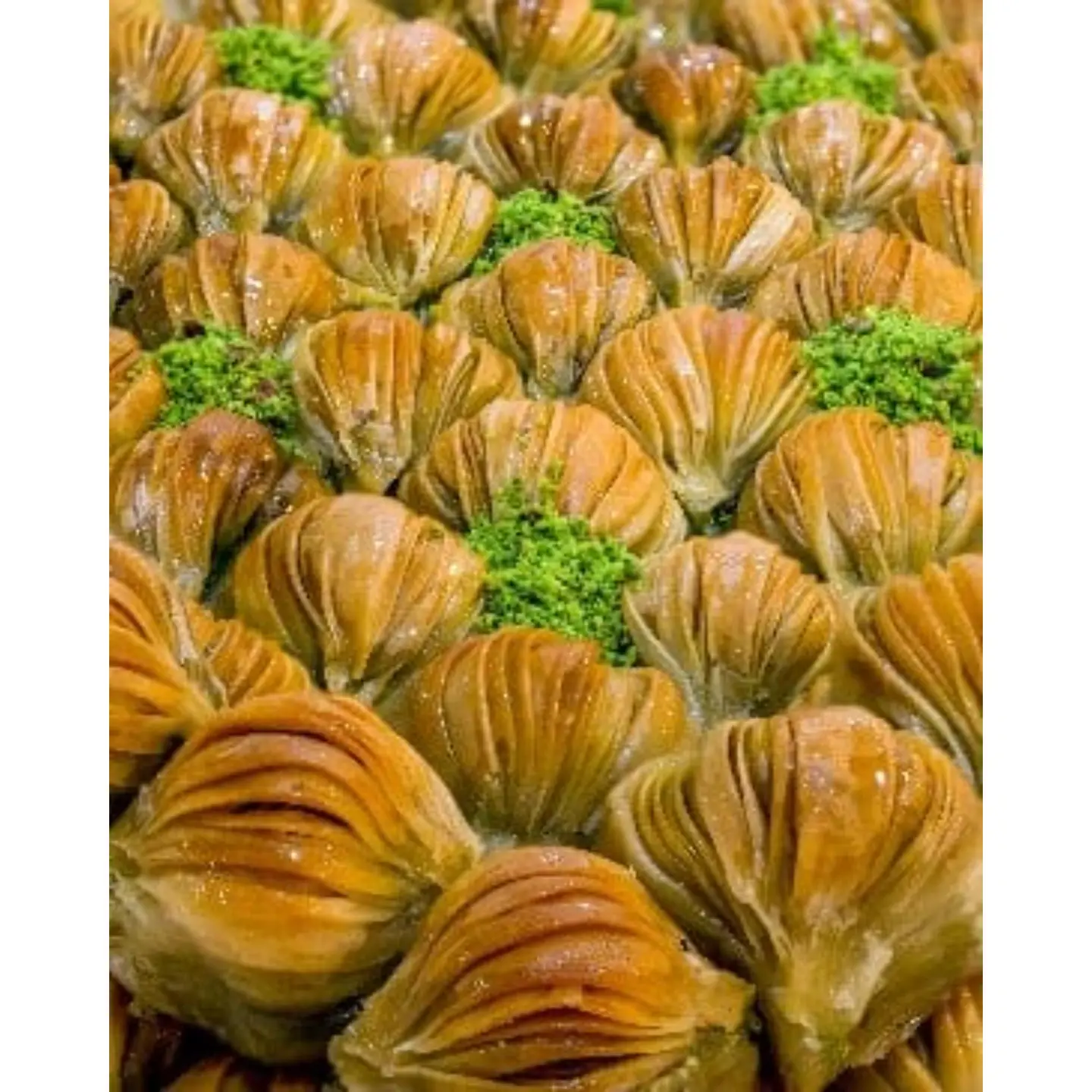 Sadafa Baklava With Walnut