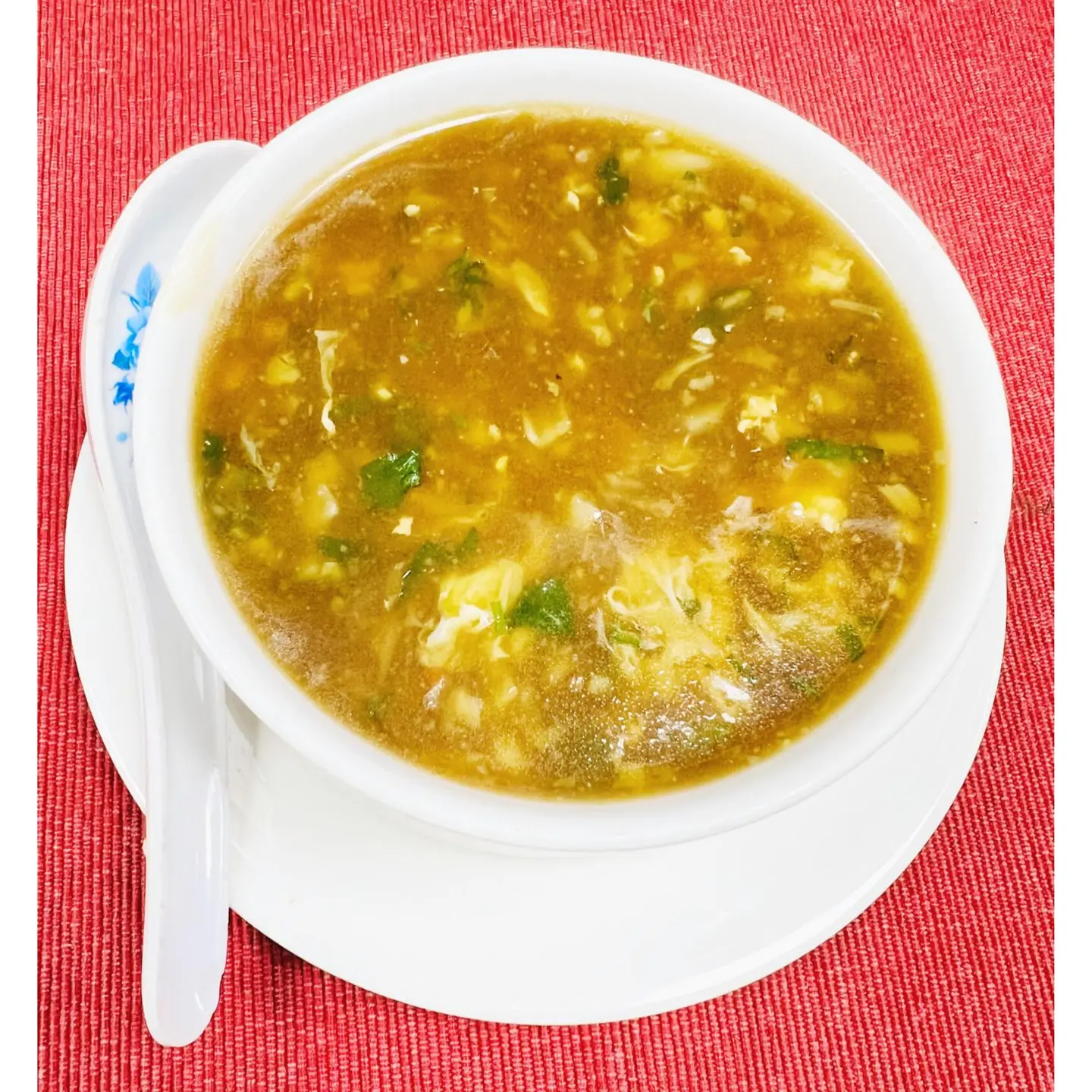Vegetable Manchow Soup