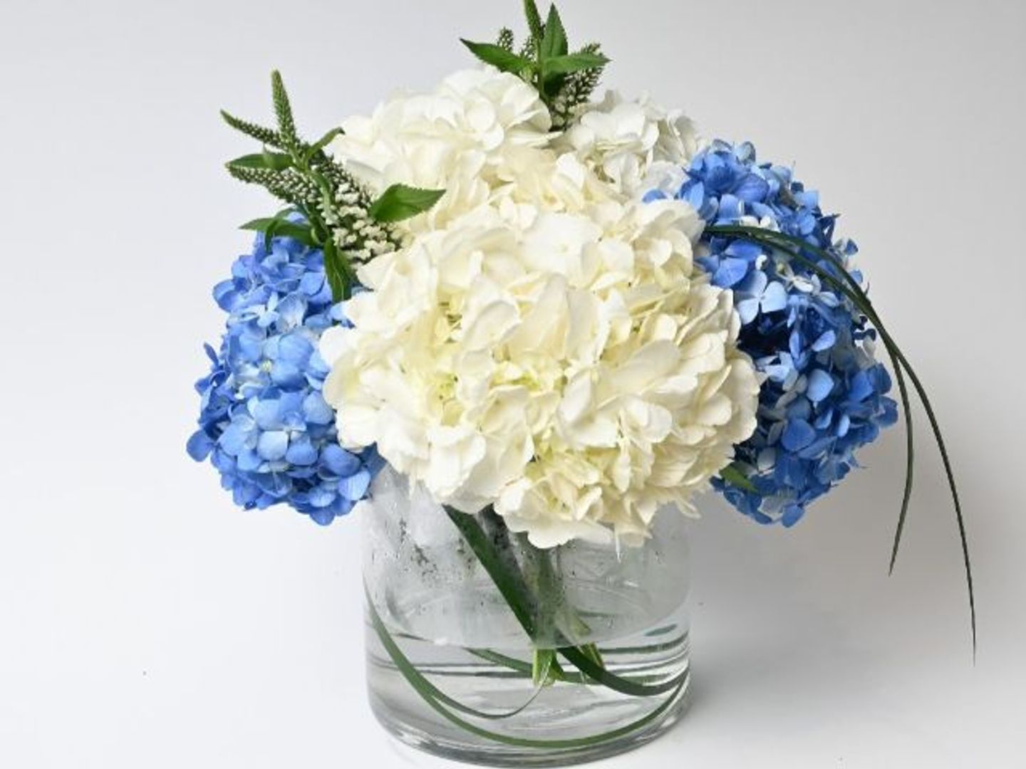 Hydrangea Harmony Vase