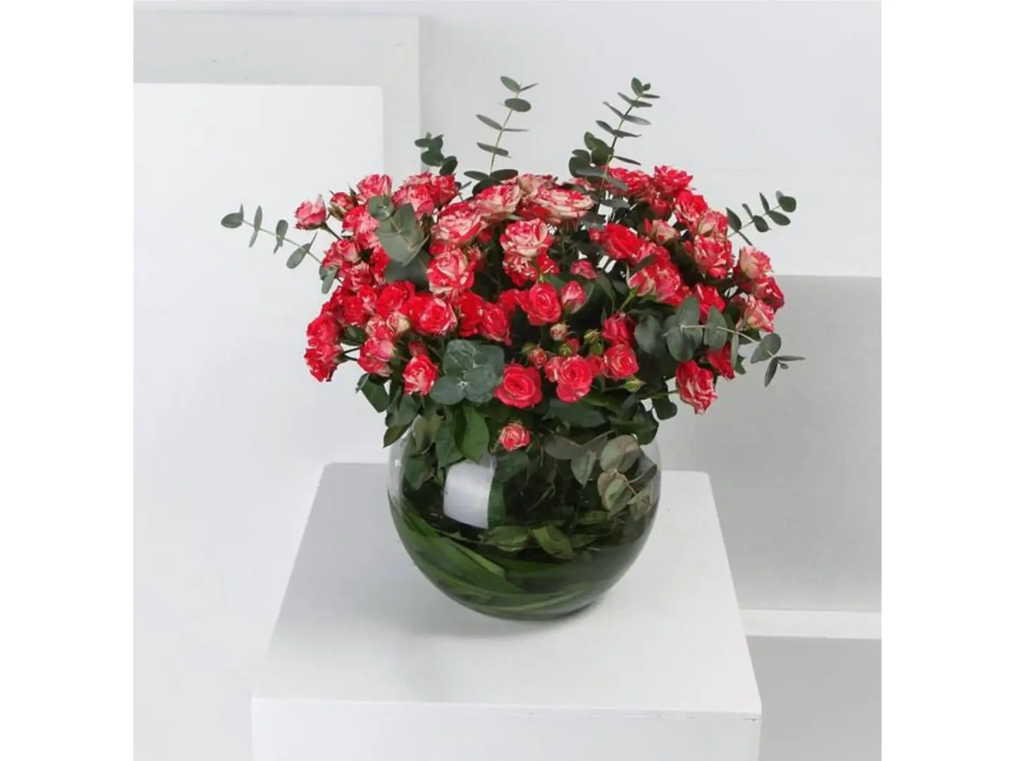 فازة الروعة