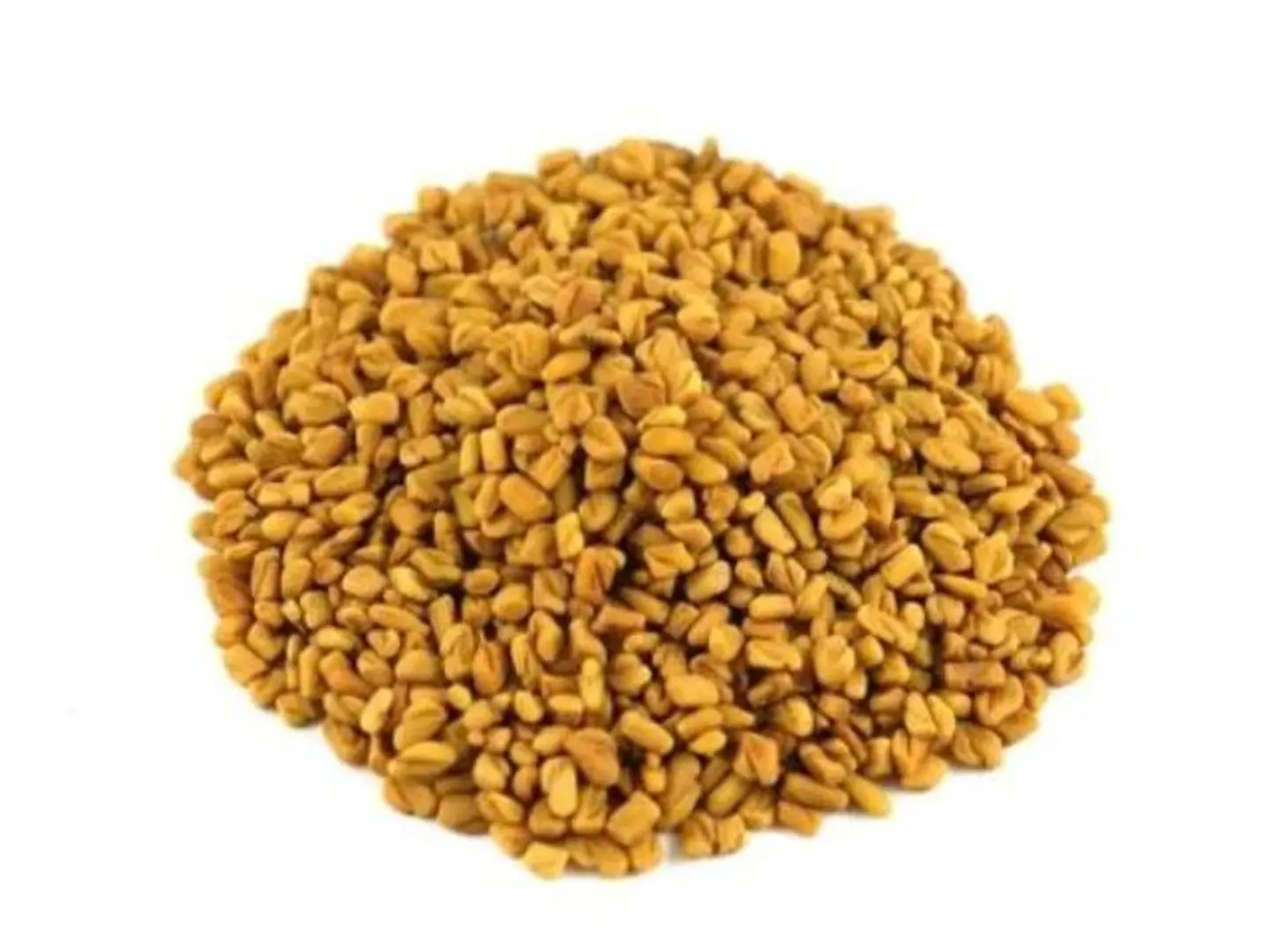 Indian Fenugreek Seeds