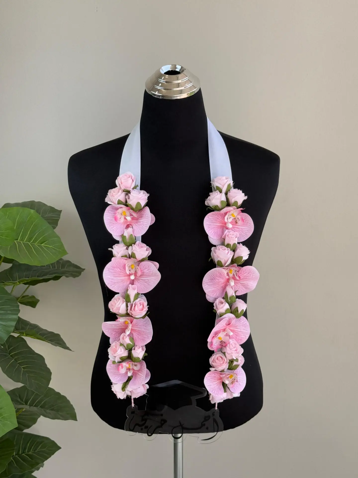 Pink Graduation Contract A