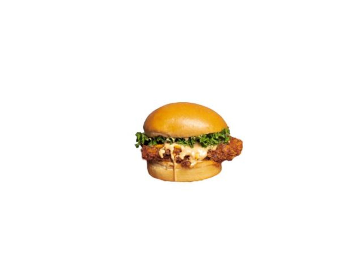 Crispy Chicken Burger