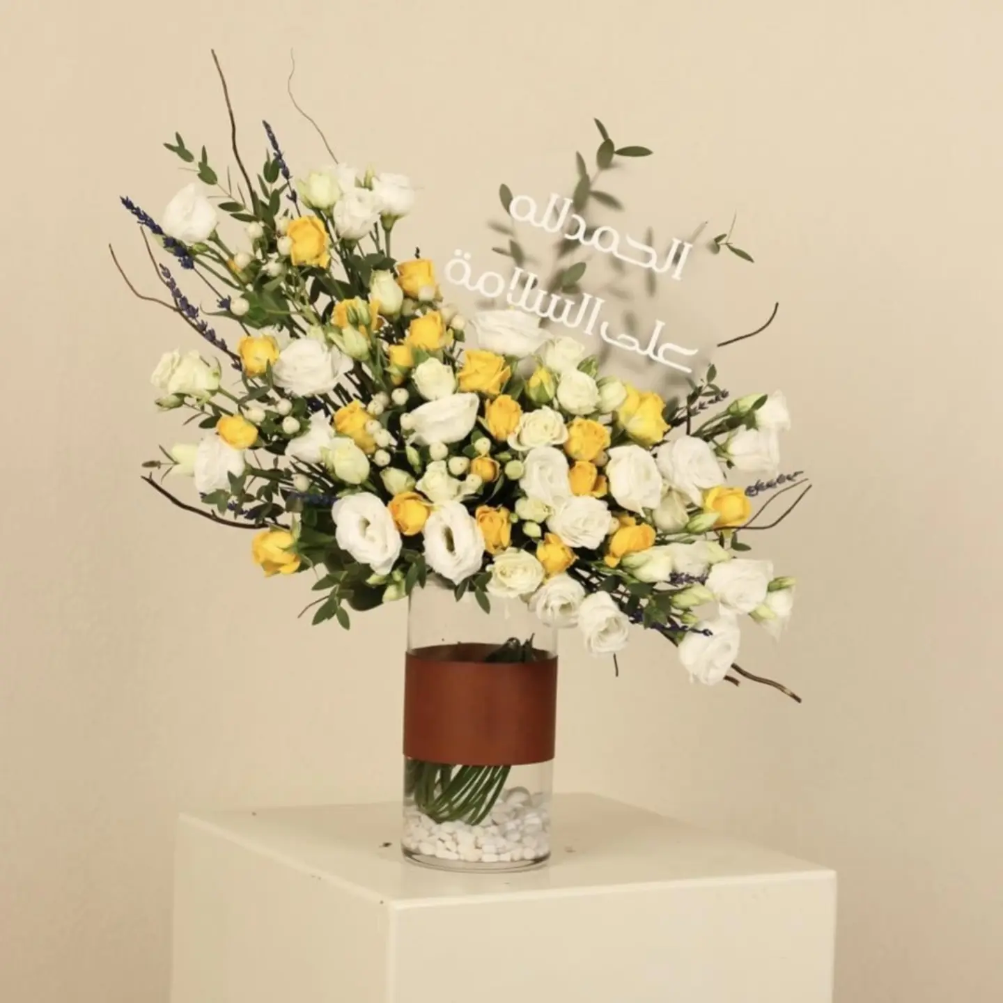 بياض الشفاء