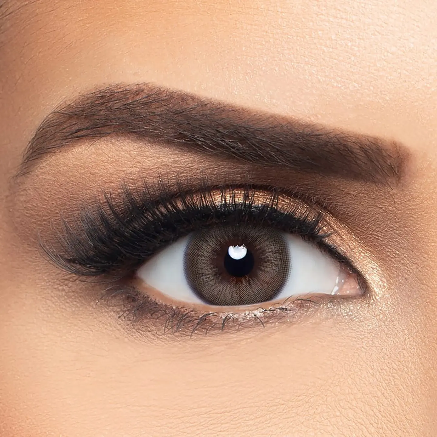 Sable Brown Colored Contact Lenses By Layala  Pack Of 2