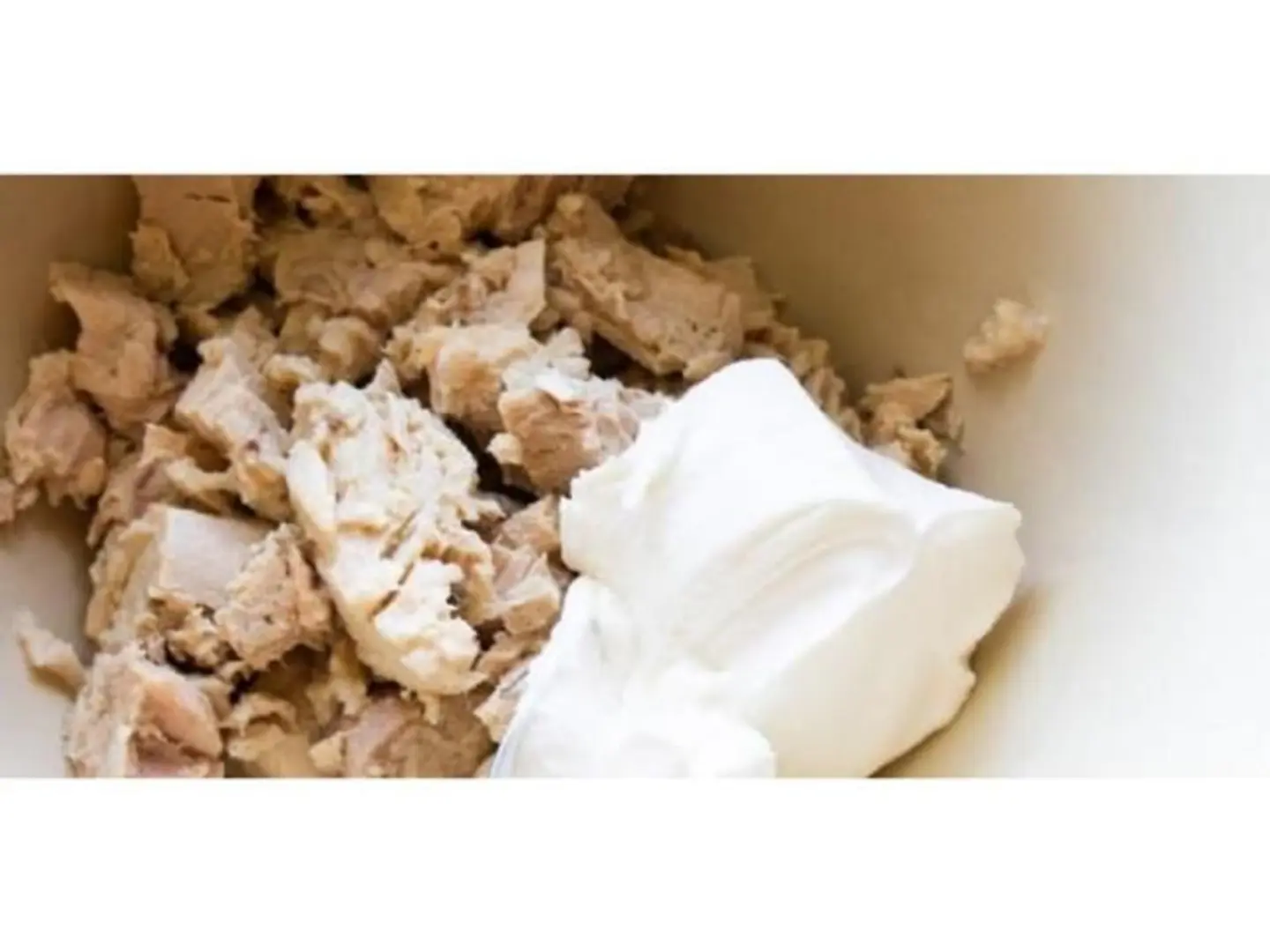 Prepared Yogurt With Tuna