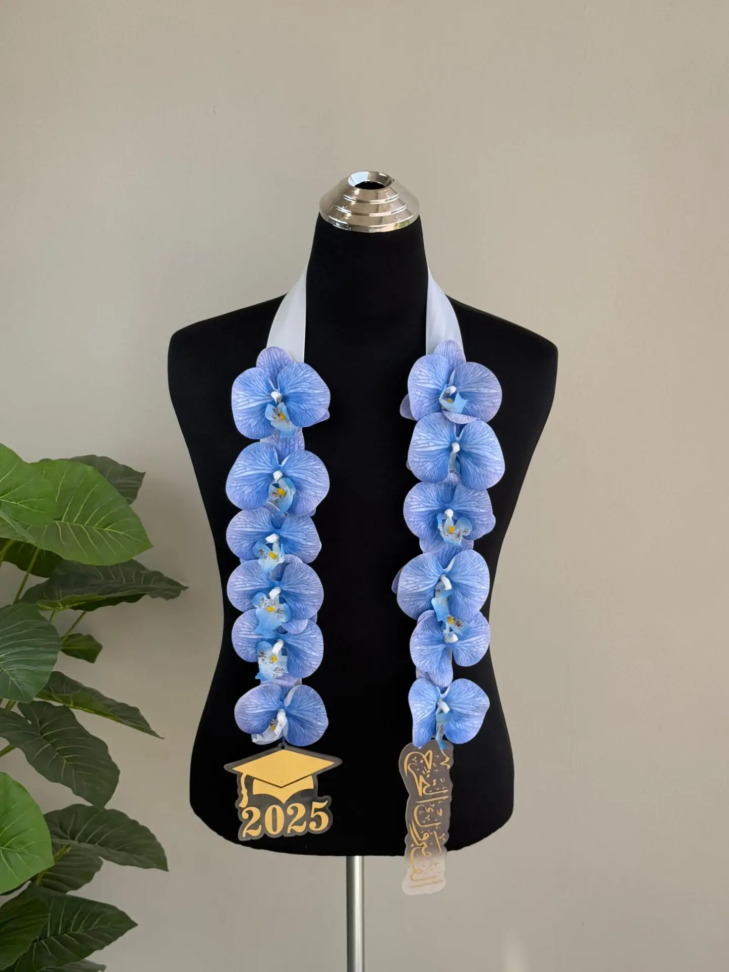 Blue Graduation Contract B