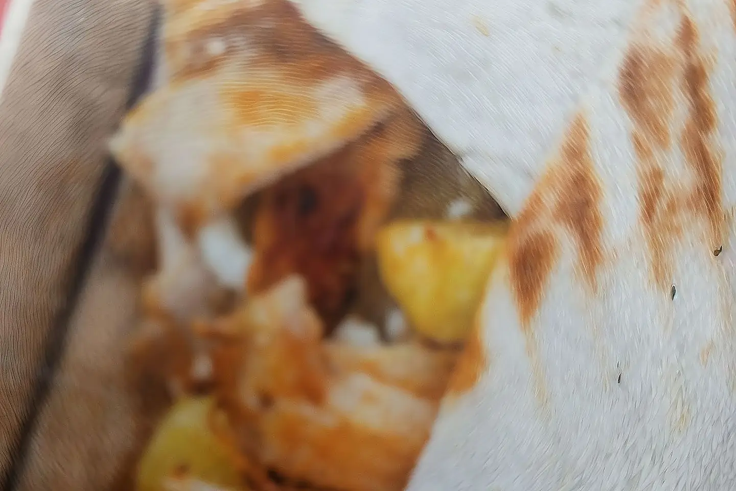 شاورما صغير دجاج