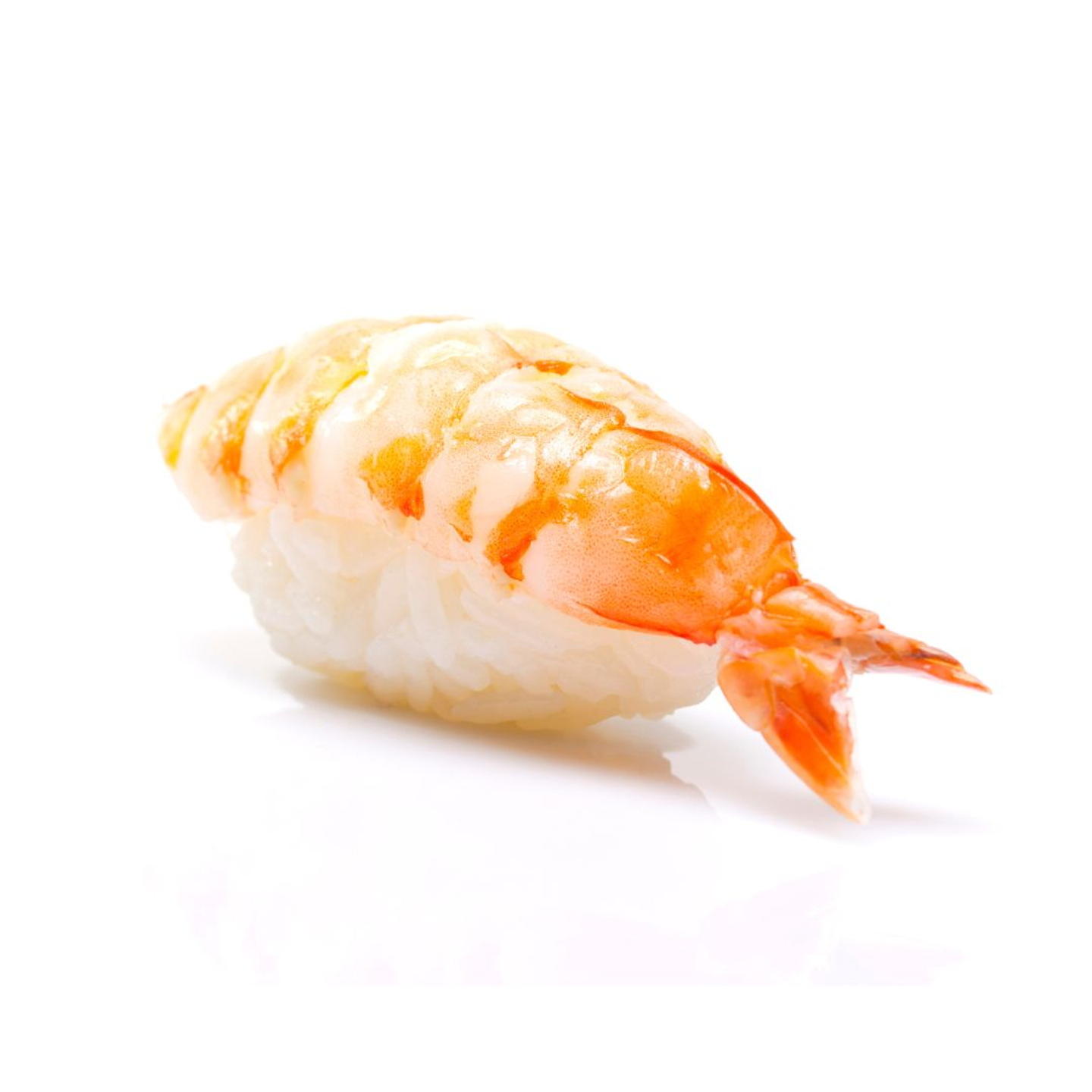 Shrimp Nigiri