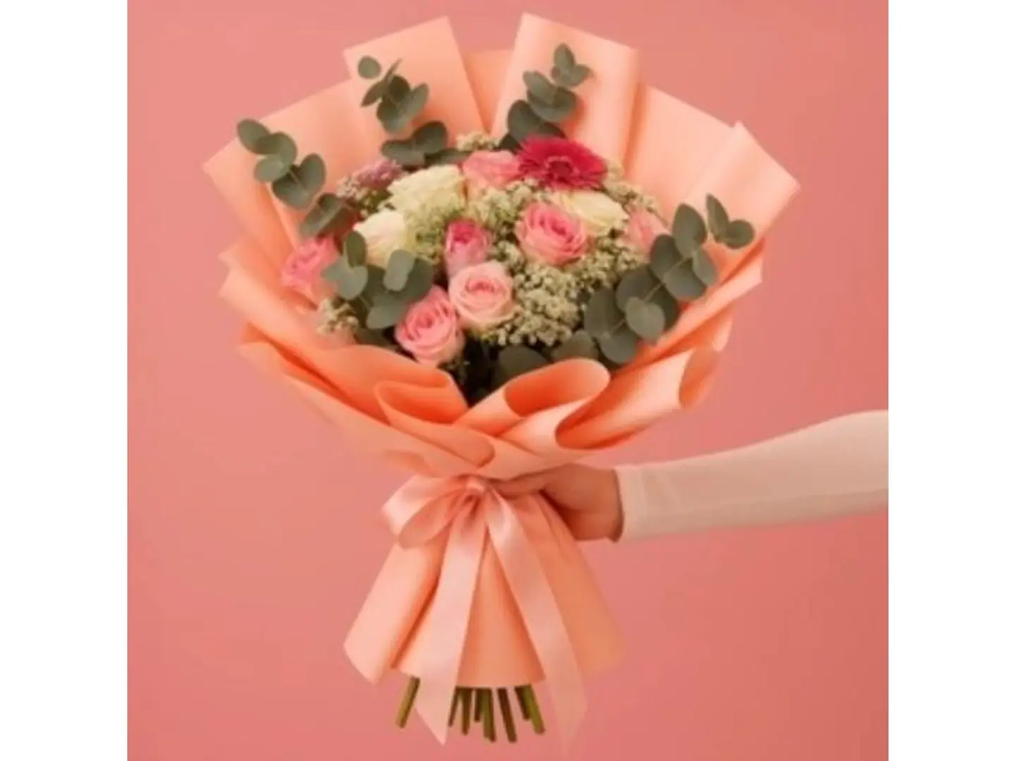 باقة نغمات الصيف