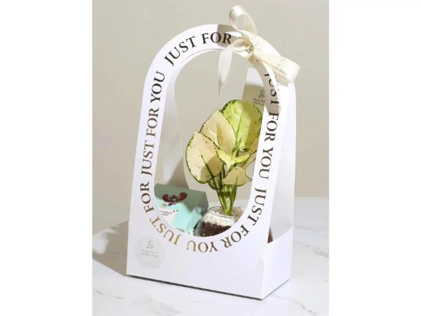 الأميرة البيضاء وشوكلتوكرت إهداء