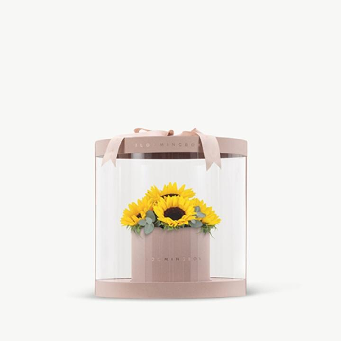 Premium Sunflowers Box Medium