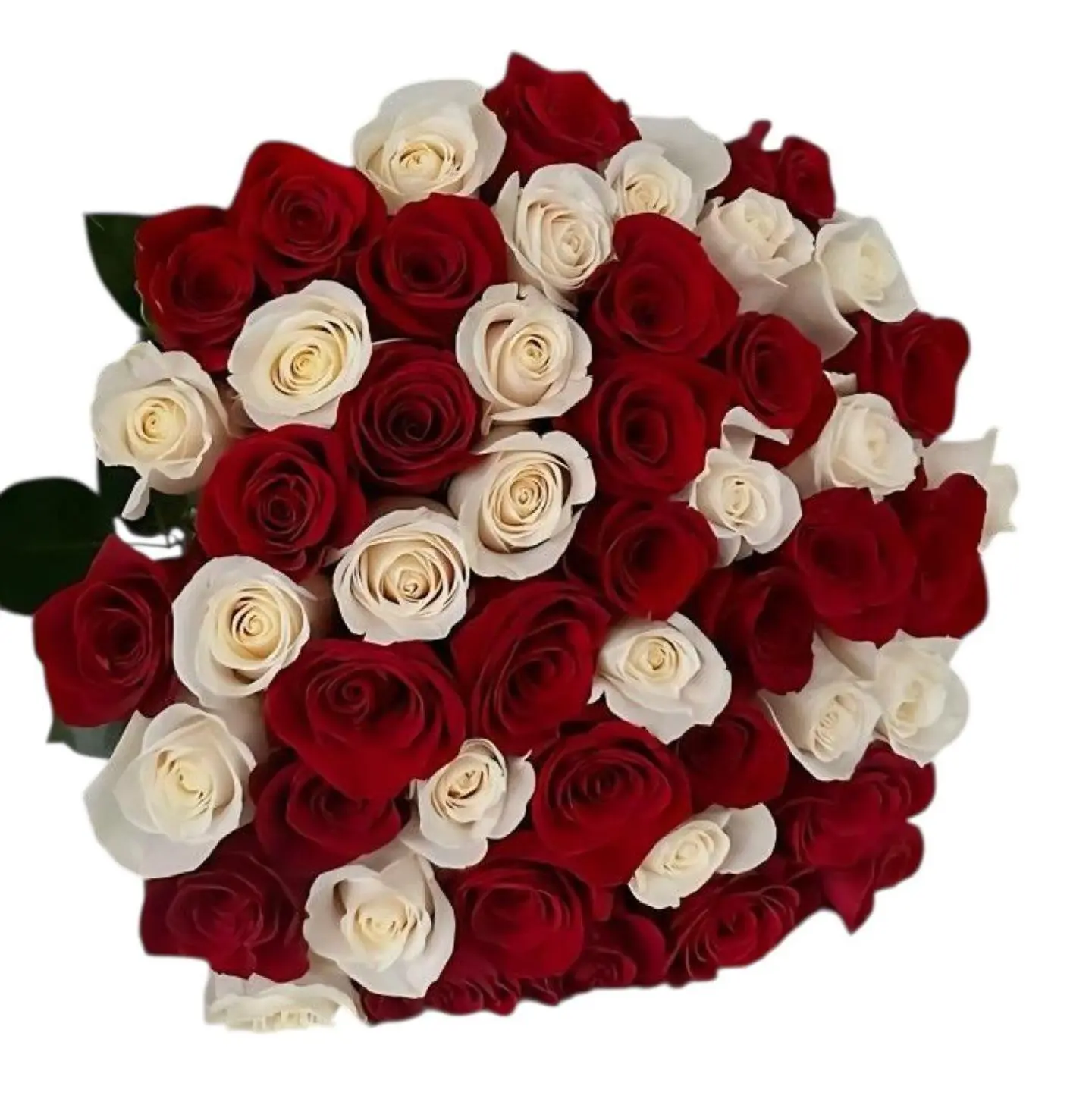 باقه اشراقه الحب