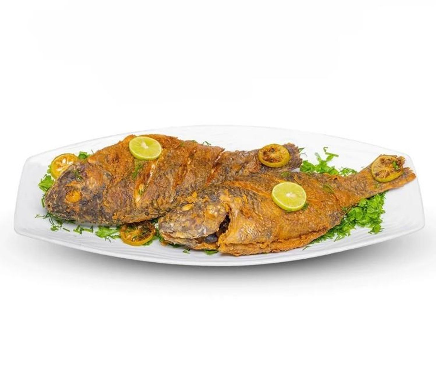 سمك بلطي سنجاري