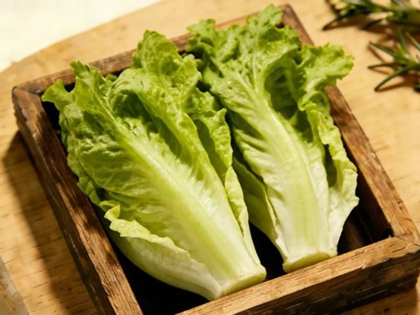 Lettuce