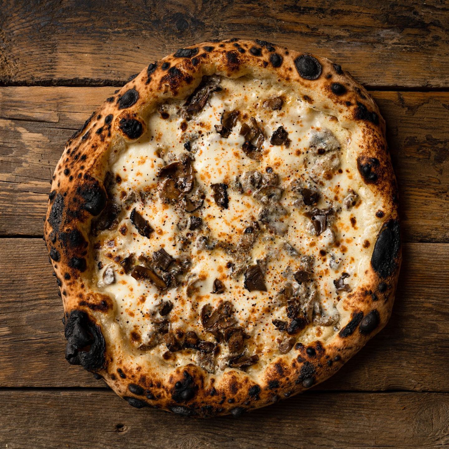Travel Pizza