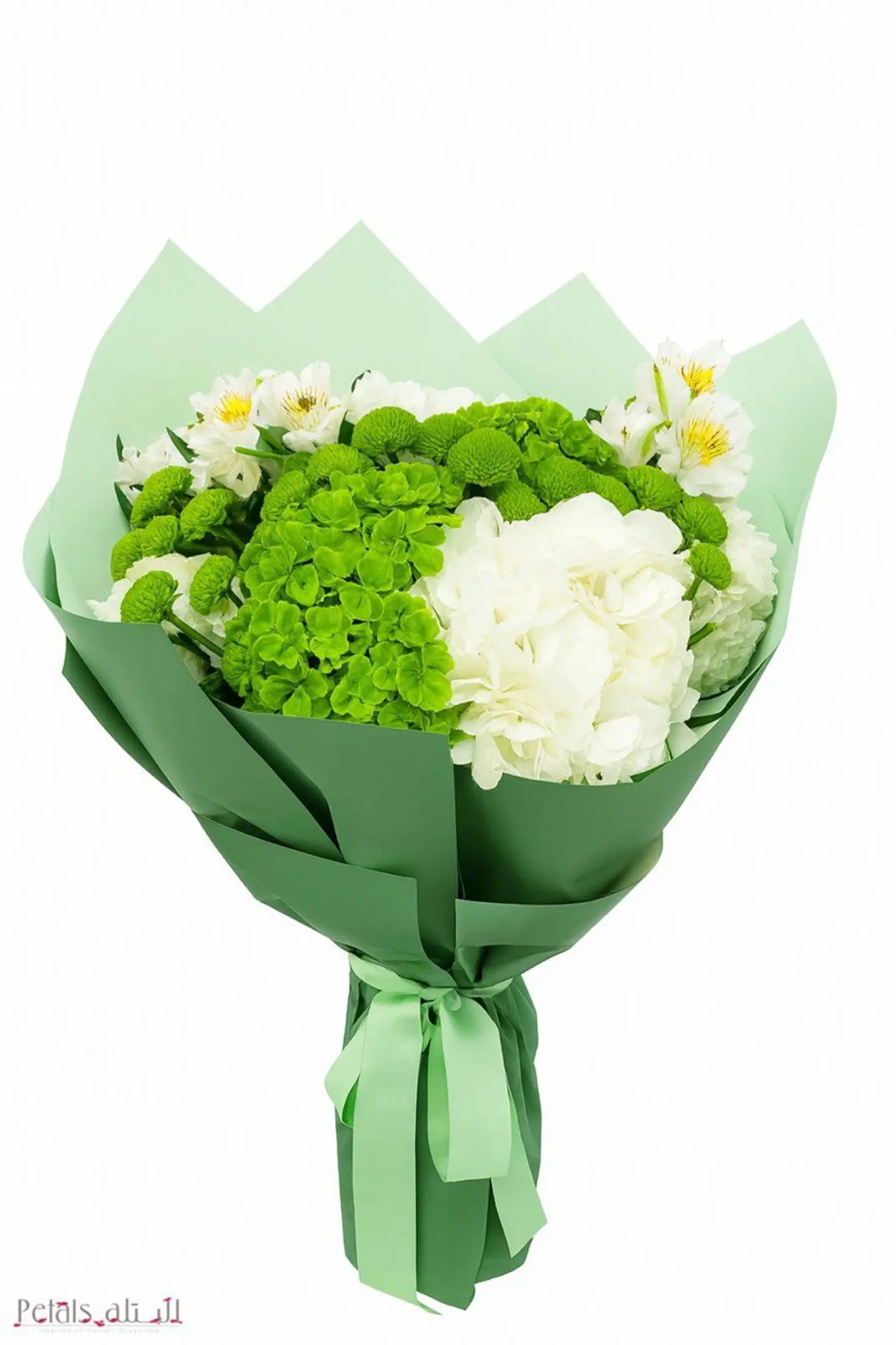 بوكيه عزنا بطبعنا