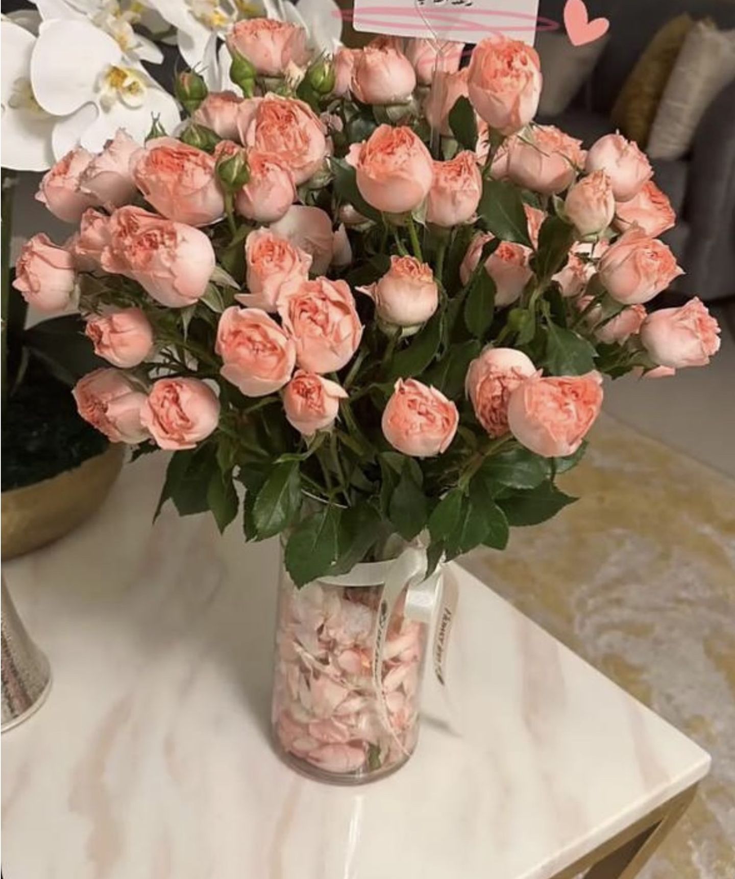 فازه الاونج