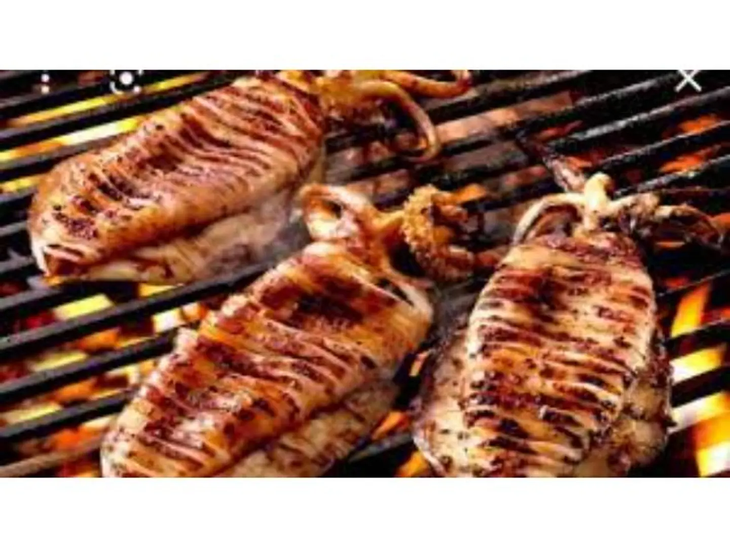 Grilled Squid