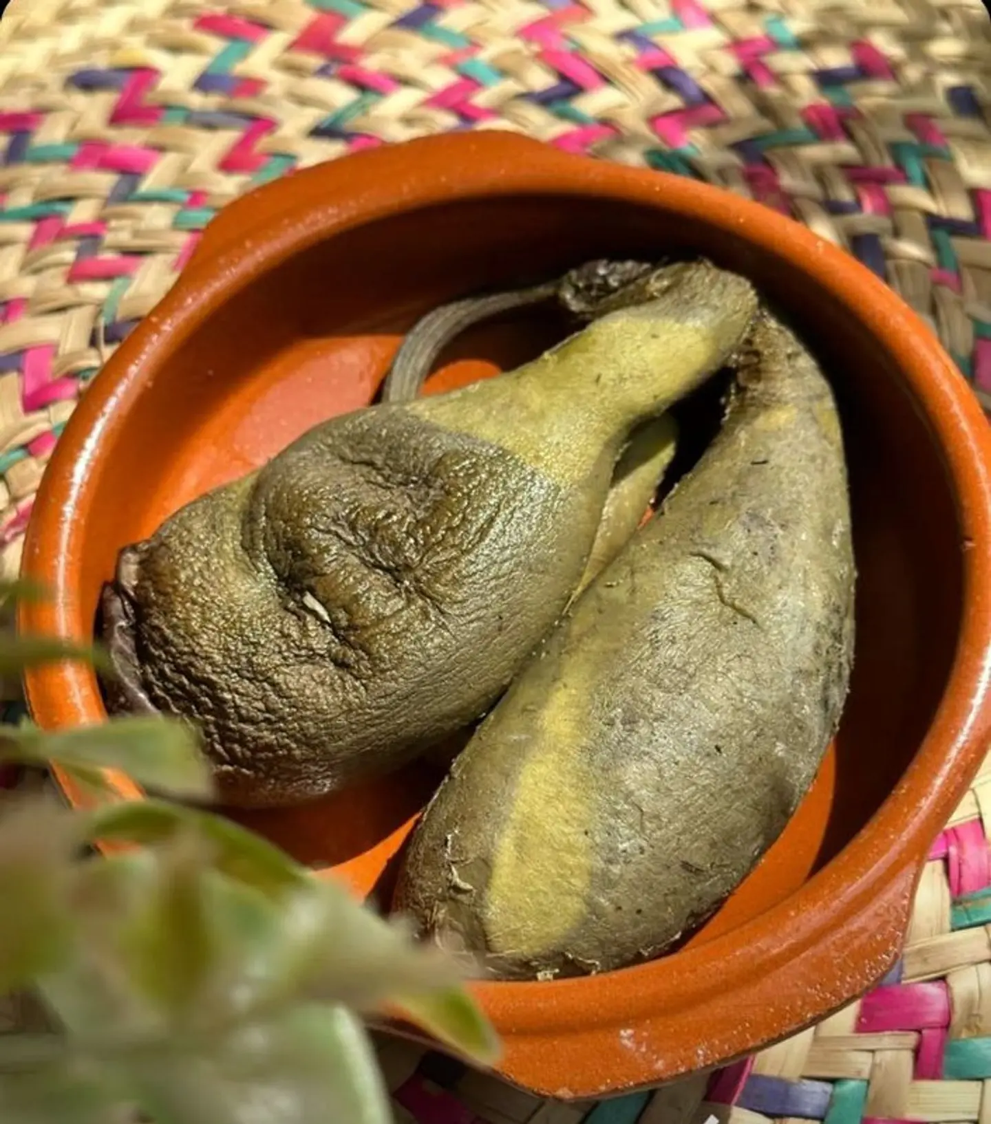 دبه ميفى