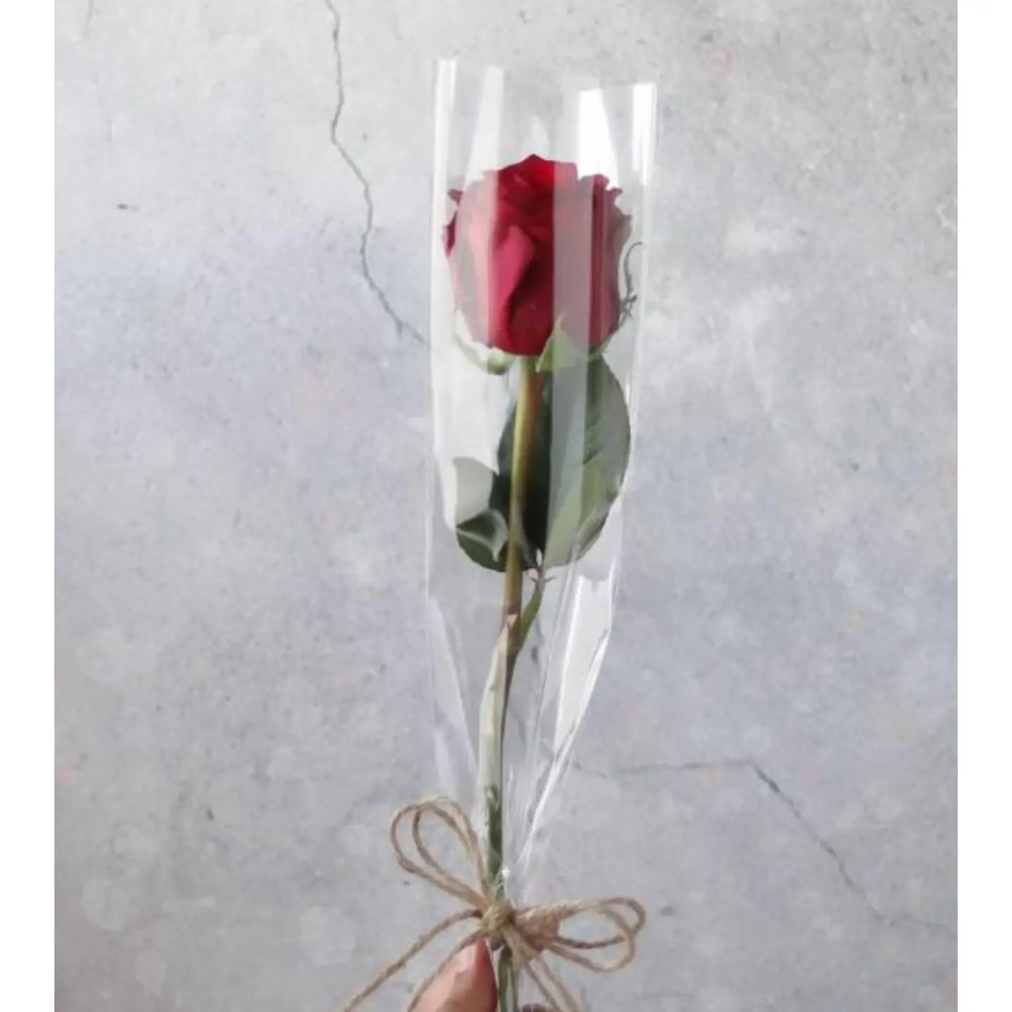 وردة جوري احمر