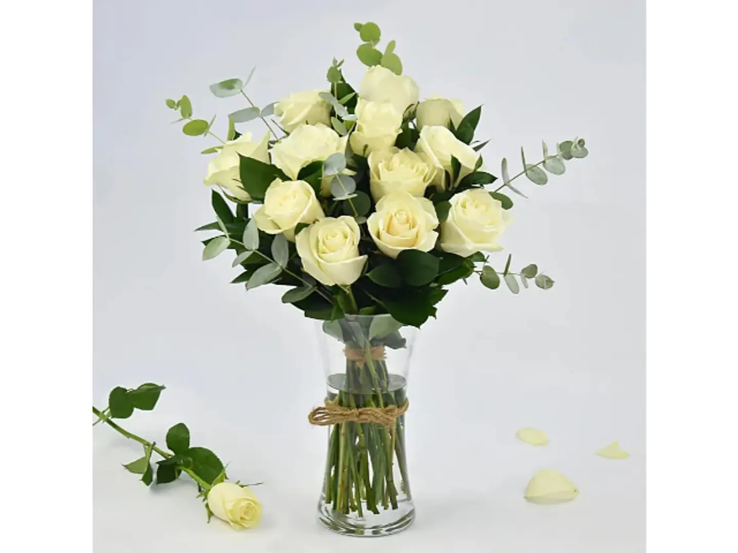 فازه الاستوما