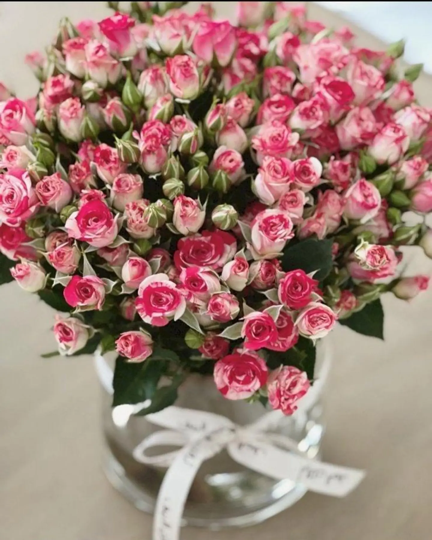 مزهرية الاناقة