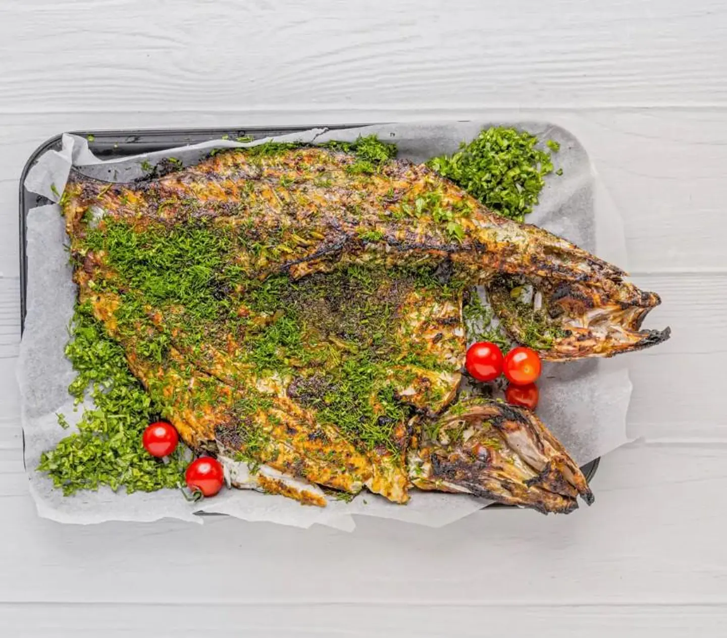 Singar Egyptian Bass Fish