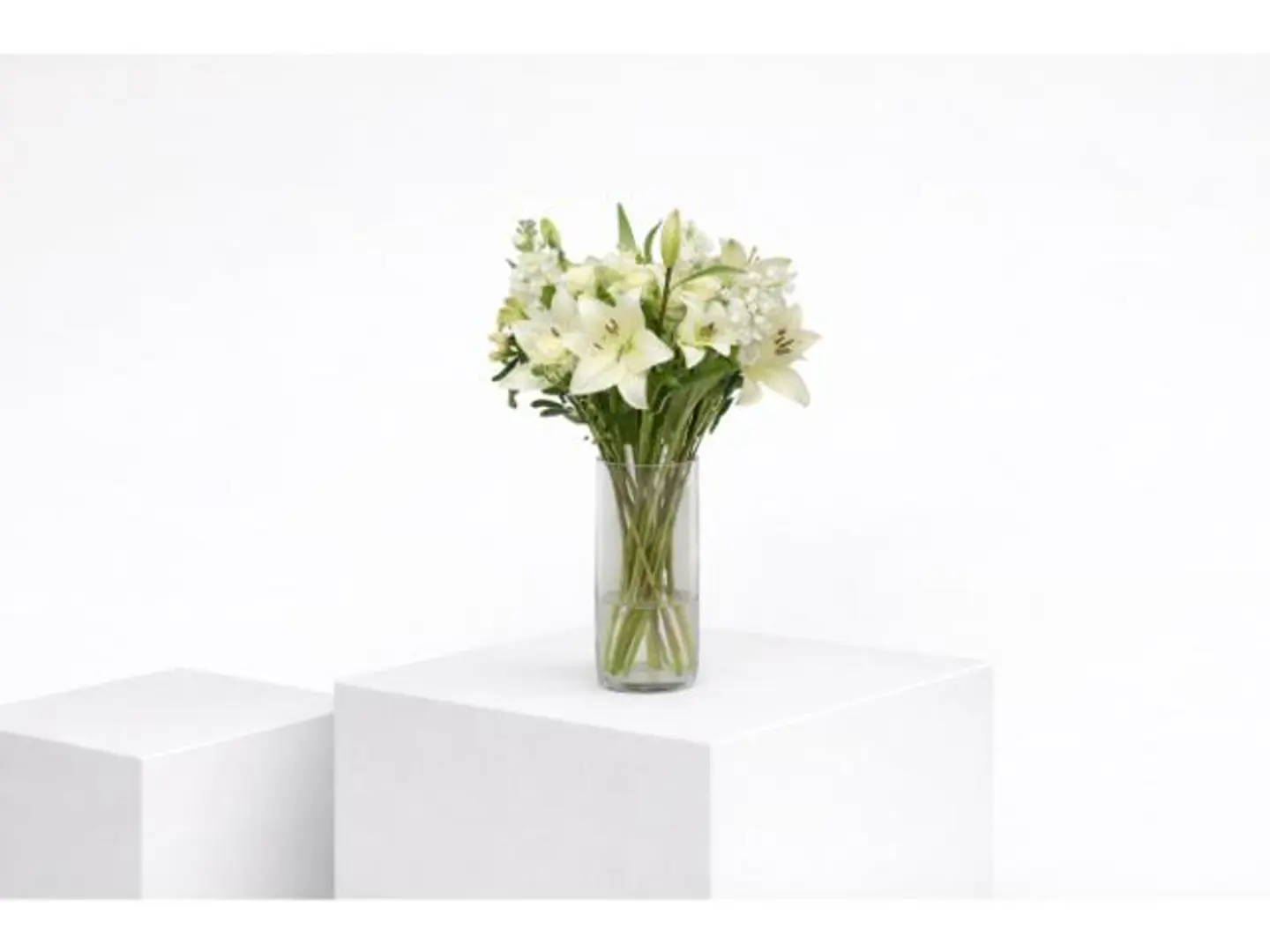 فازة الليليوم