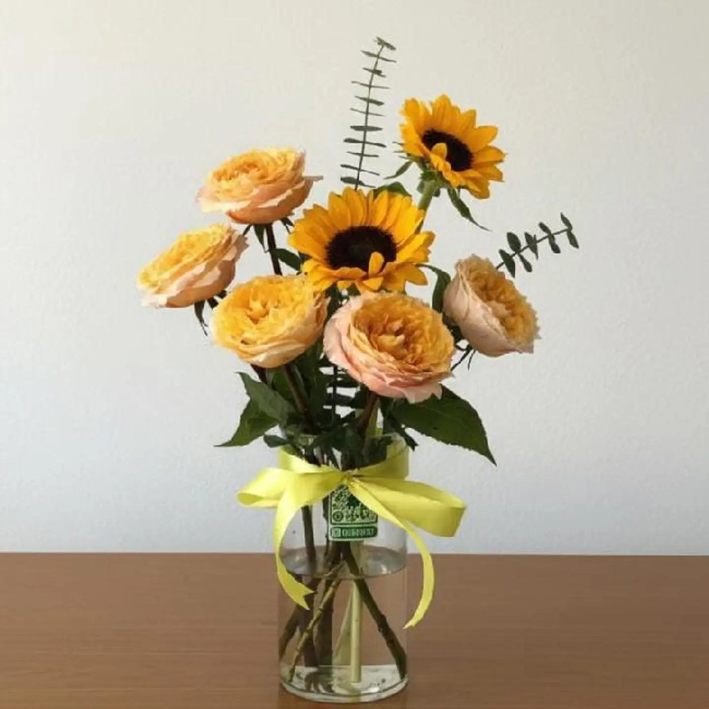 شمس هولندا الشائعة