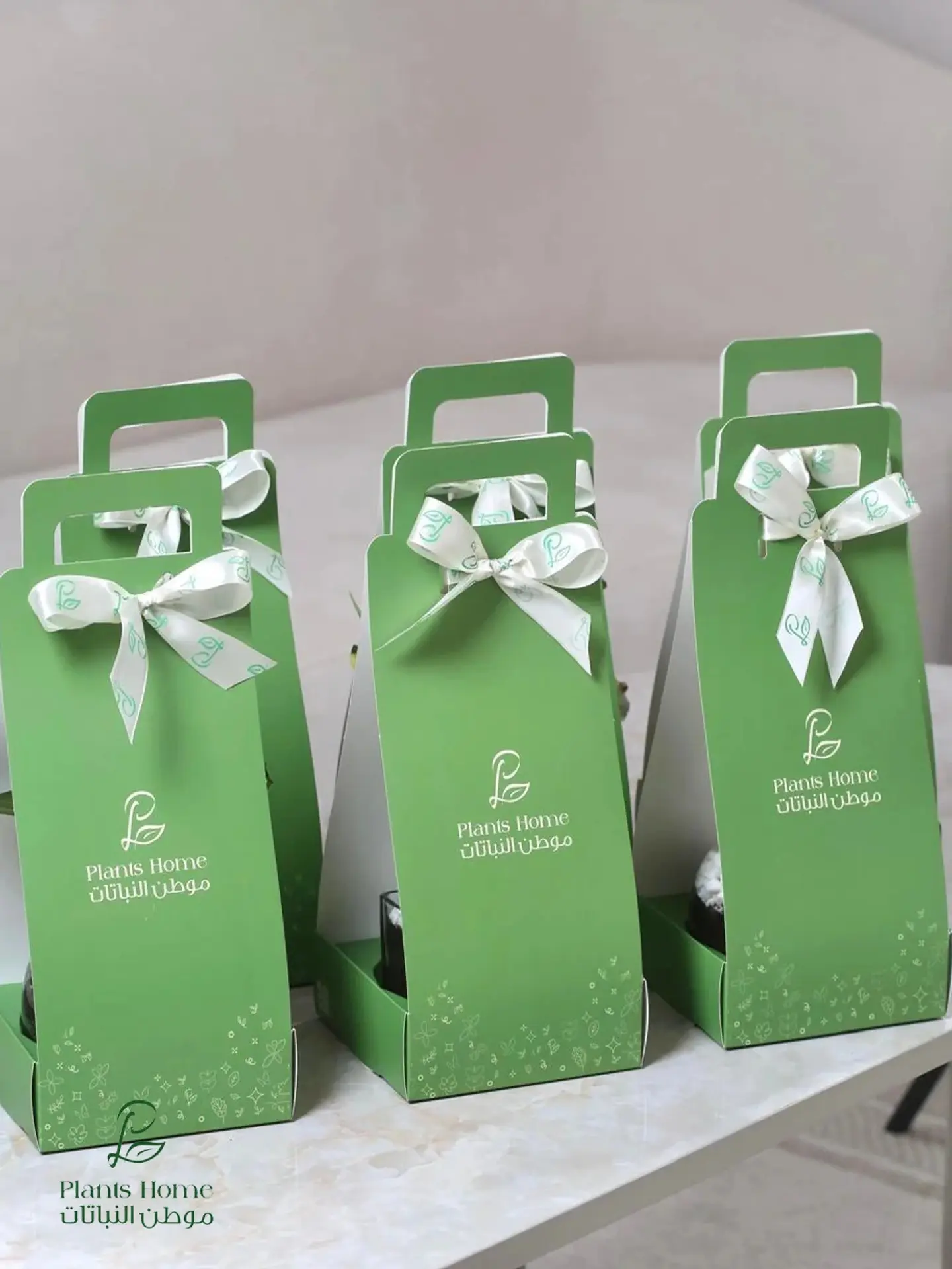 Special Occasion Favors – 6 Heart Plant Gifts With Elegant Holder & Greeting Card
