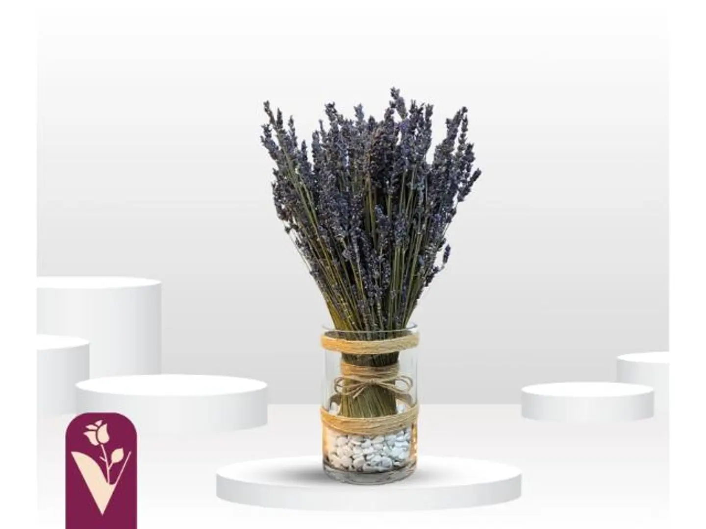 فازة الافندر