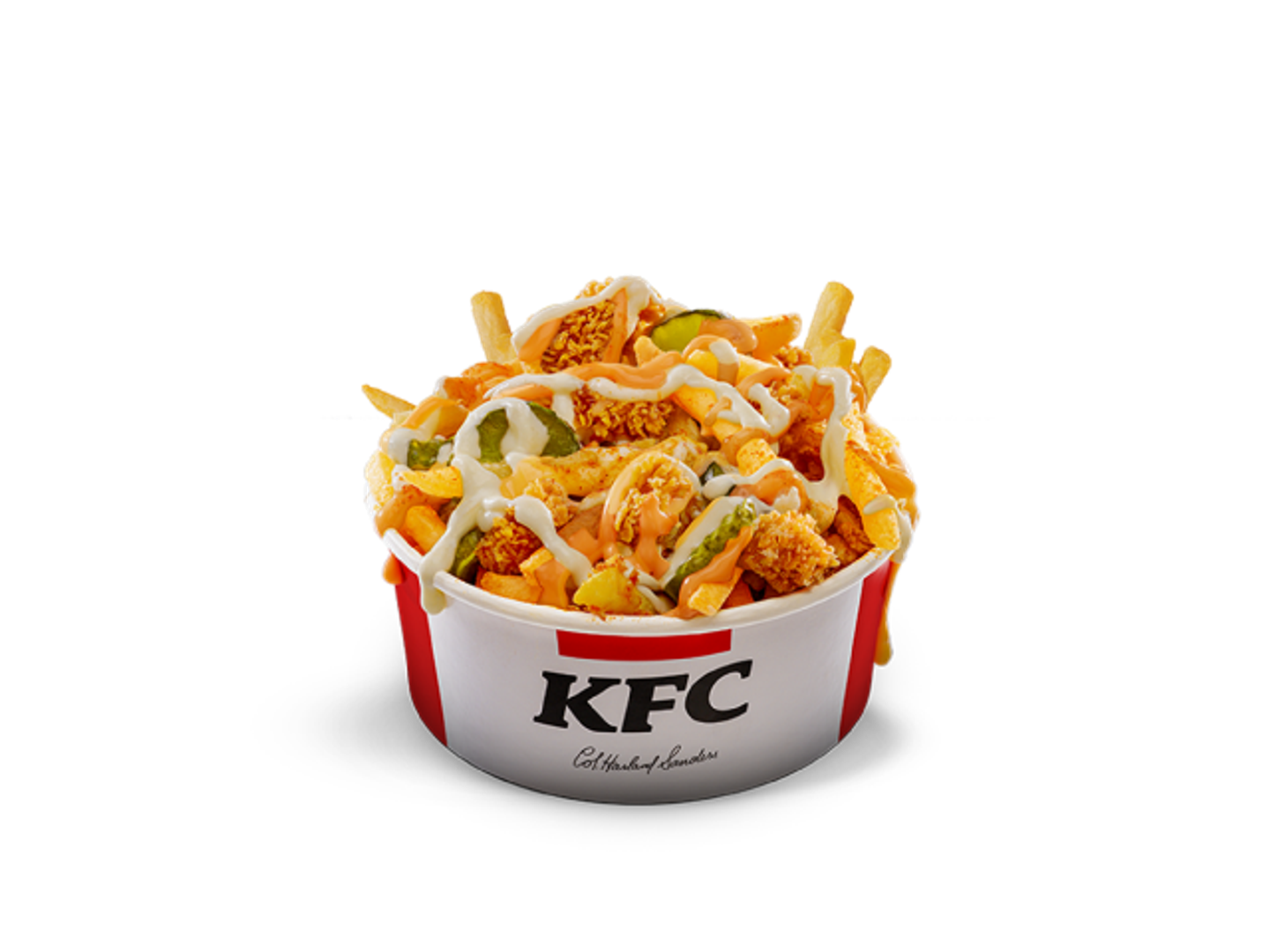 Thoum Taaky Loaded Fries