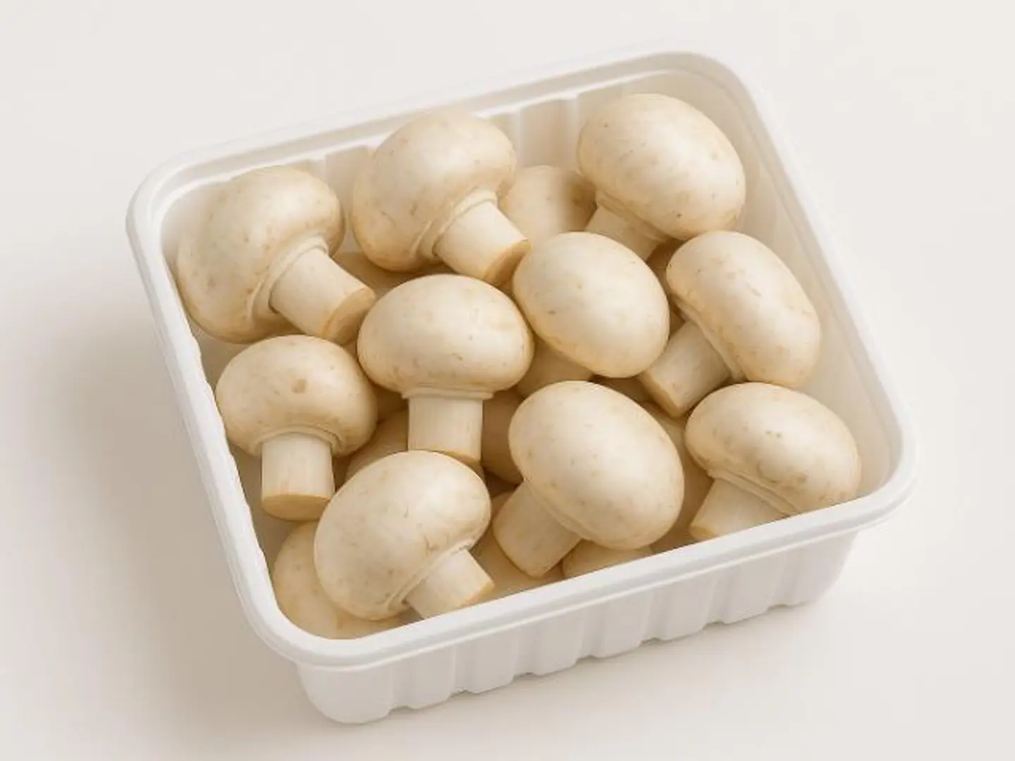 Fresh Mushroom White Box