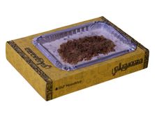 معصوب ابو رشة