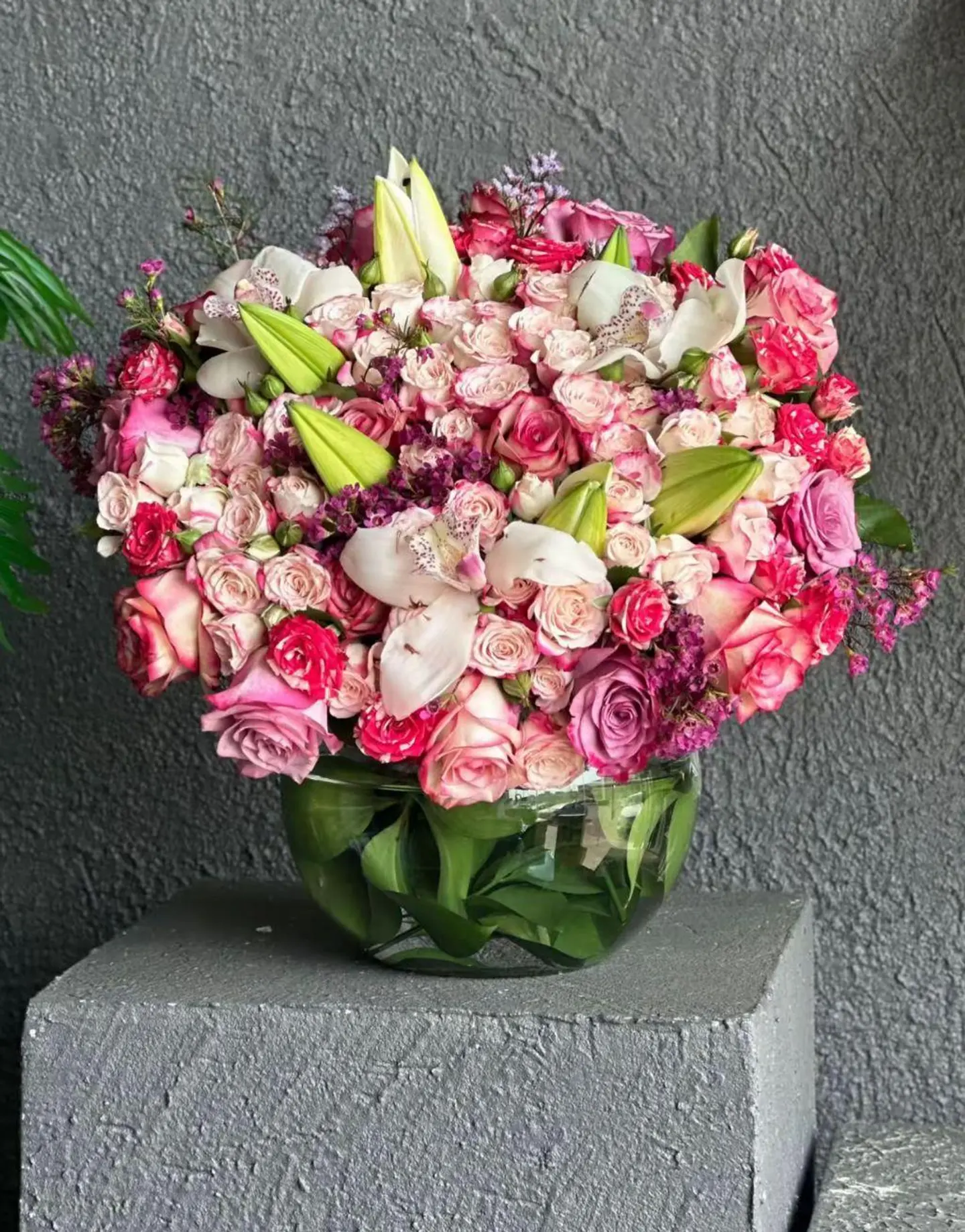 فازه الخزامى ١