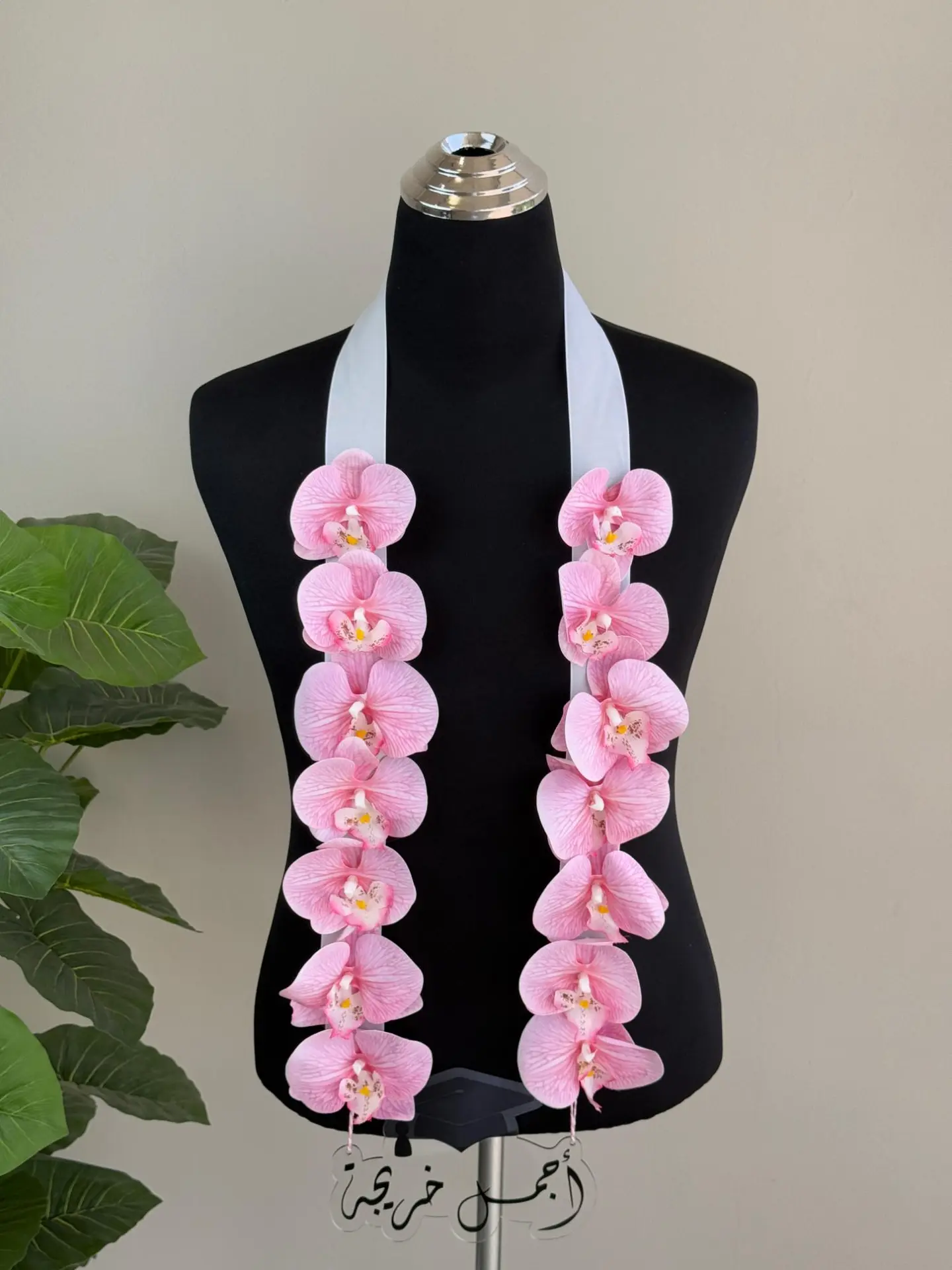 Pink Graduation Contract B